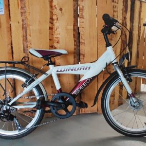 20" Winora Speedy