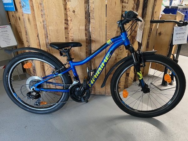24''Haibike