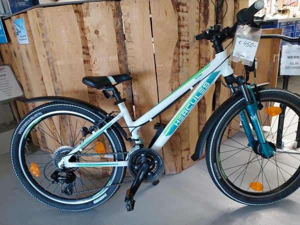24'' Hercules Sonic