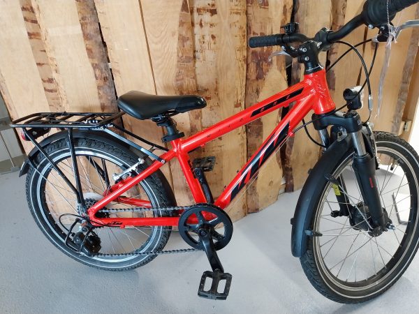 20" KTM Wild One